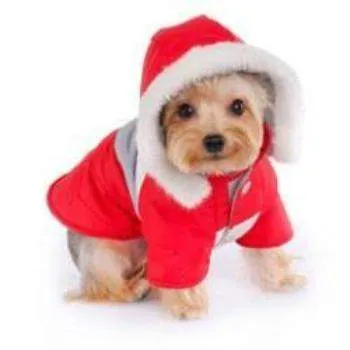 Alexis Dog Parka