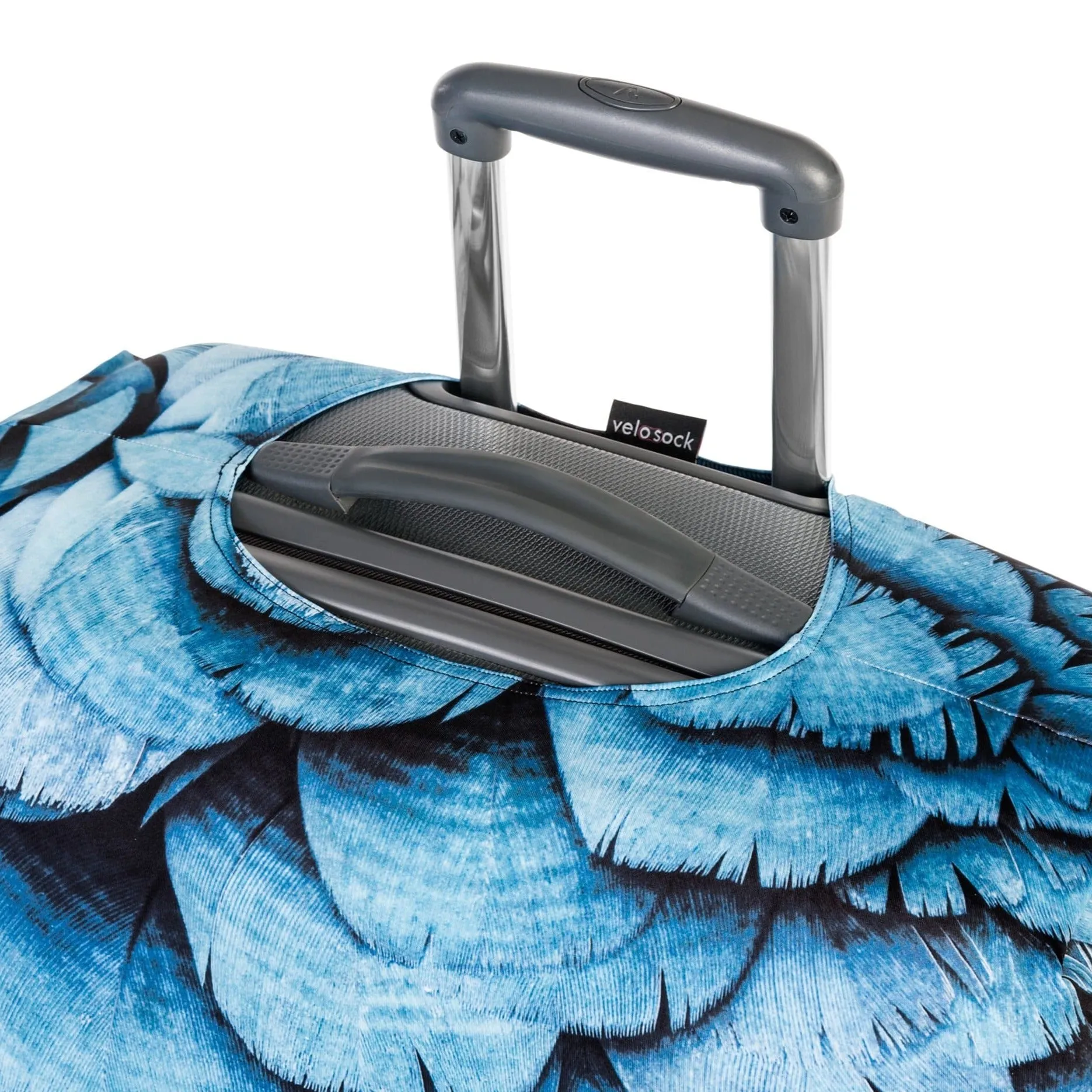 Blue Bird