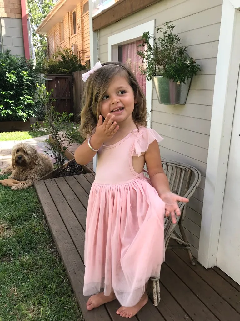 Sophia Dress -Dusty Pink